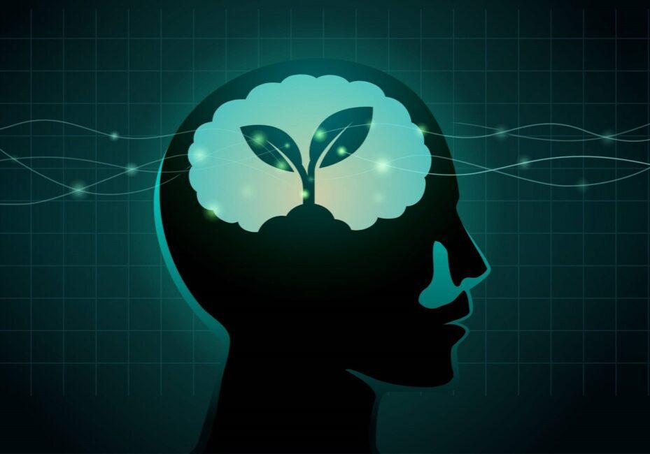 4 Characteristics of Evolutionary Mindset